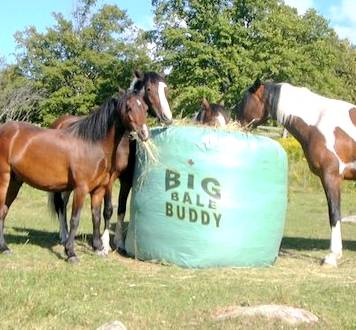 Big Bale Buddy - Bitless & Natural Equestrian Centre