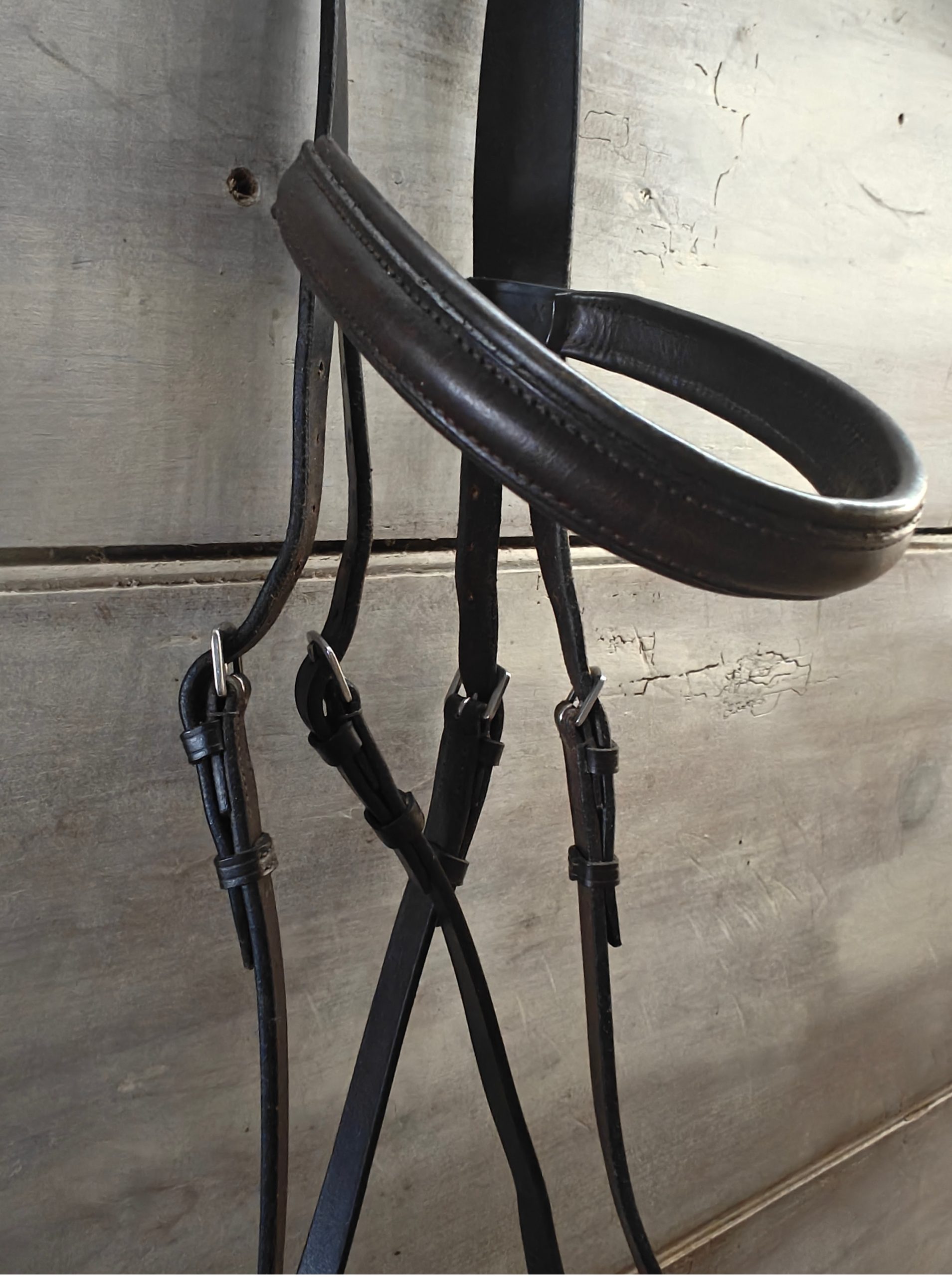 padded browband havana Dr Cook bitless bridle