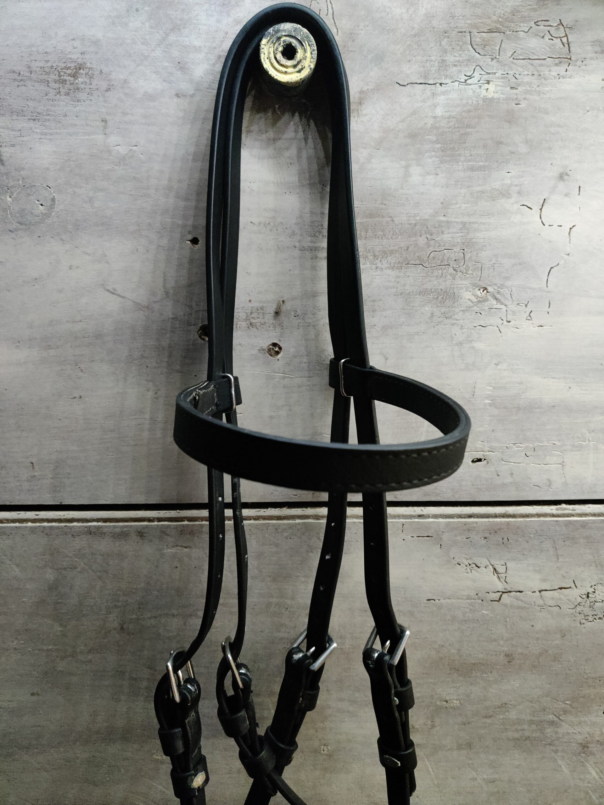 Dr Cook black medium beta bitless bridle, original version