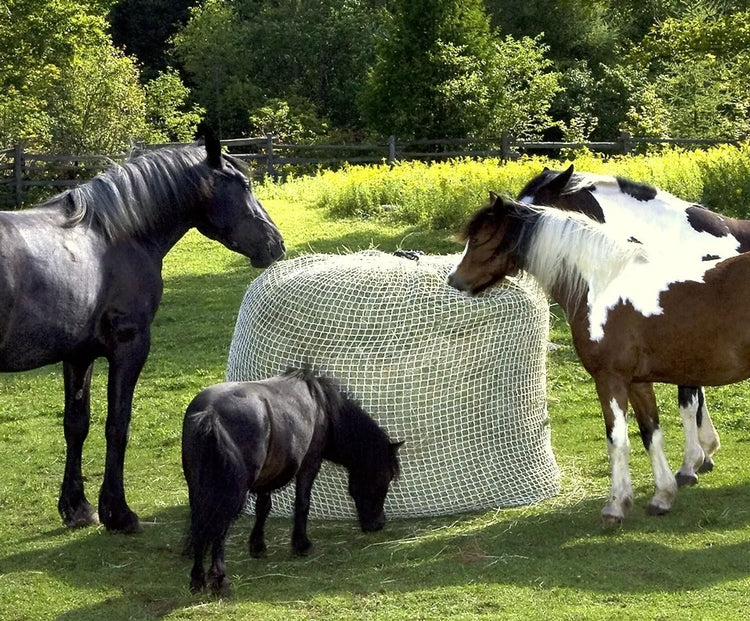 slow bale buddy hay feeder net in field with horses