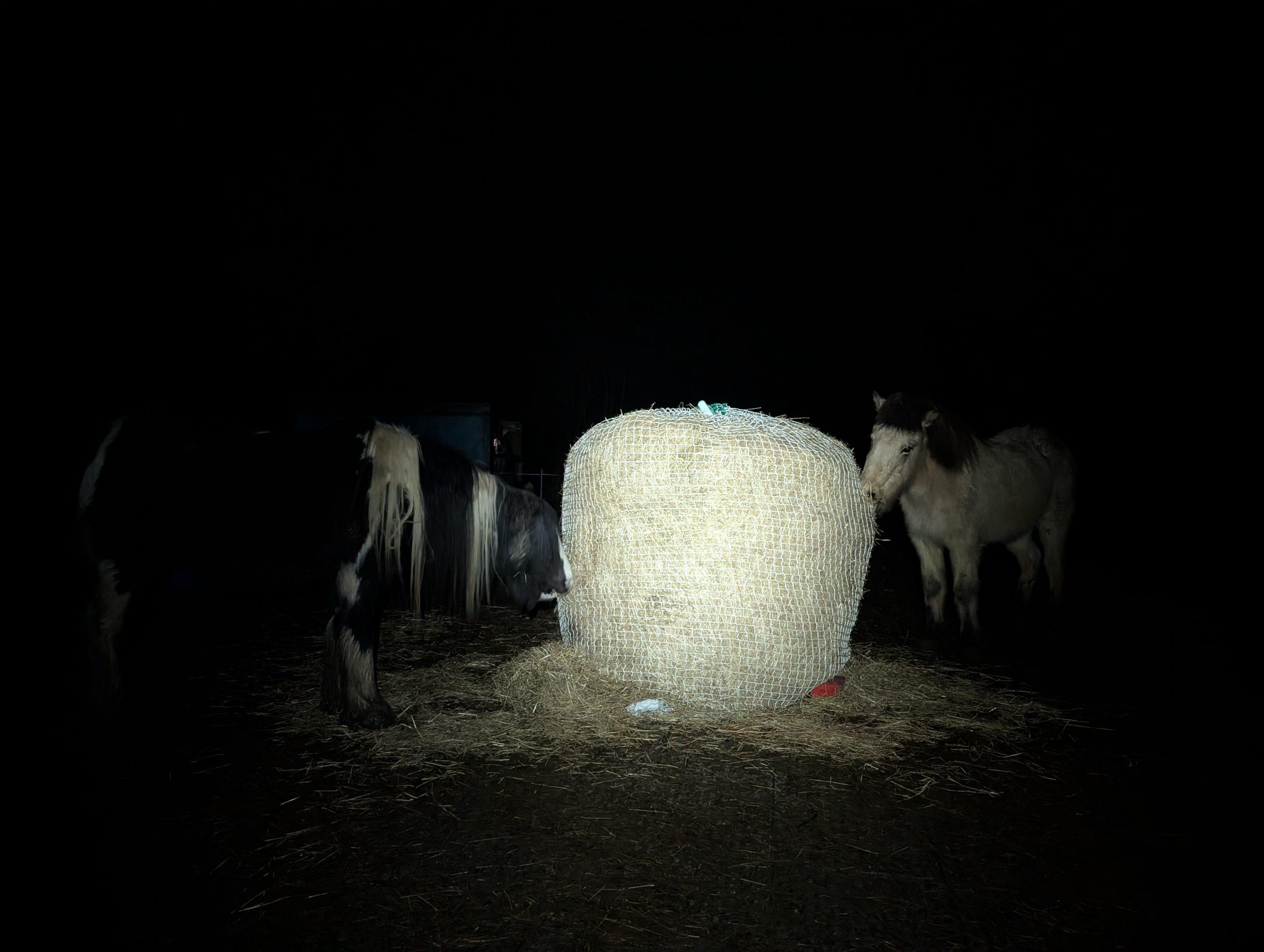 Slow Bale Buddy over round bale of hay, newly put out