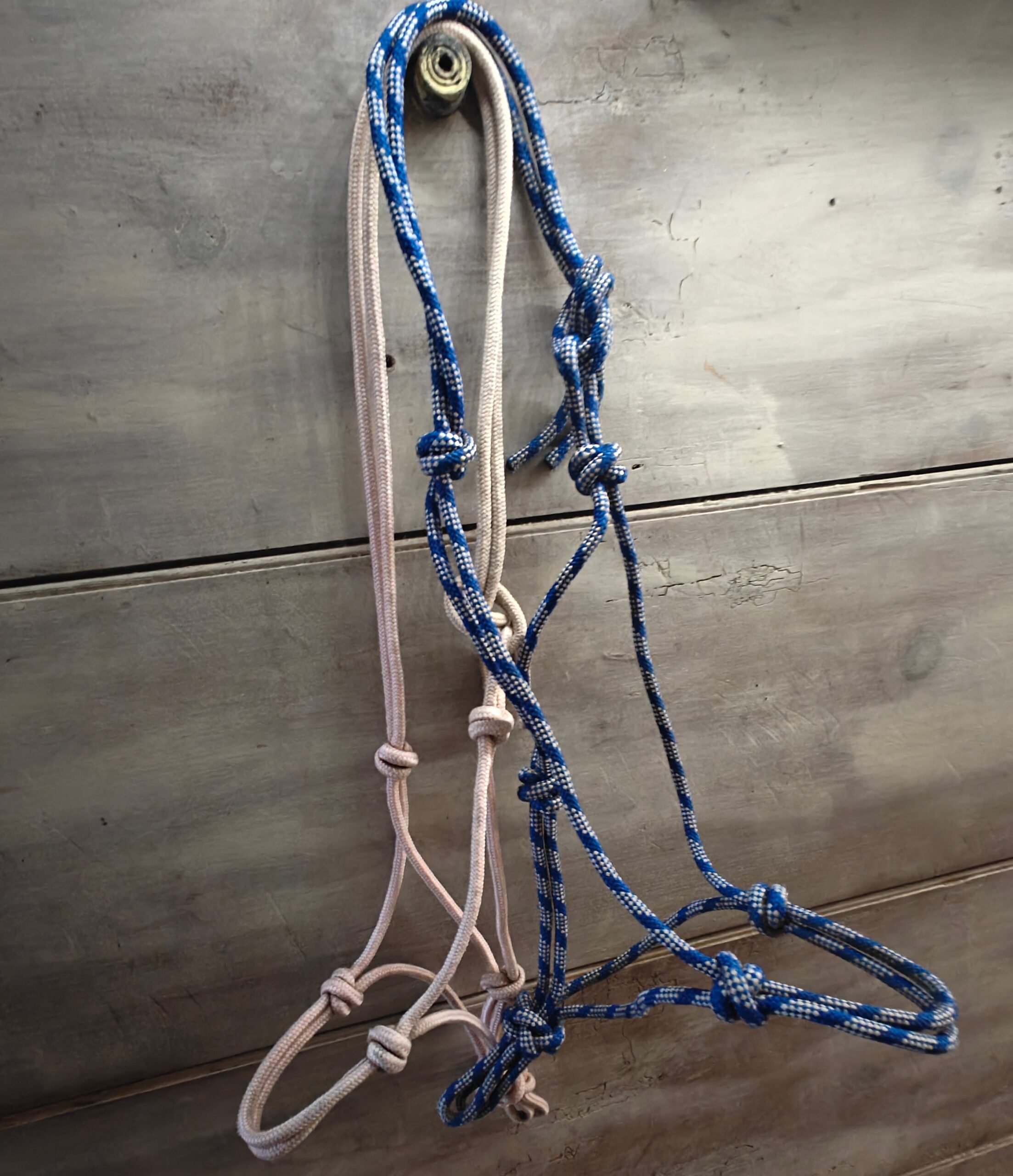 used knotted rope halters to clear